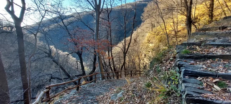 Sentiero 109-3V - Curiglia-Biegno