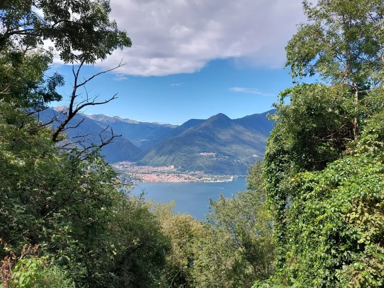 Sentiero 123 - Campagnano–Musignano