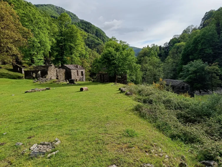 Sentiero 164A - Ponte di Piero-Mulini di Piero